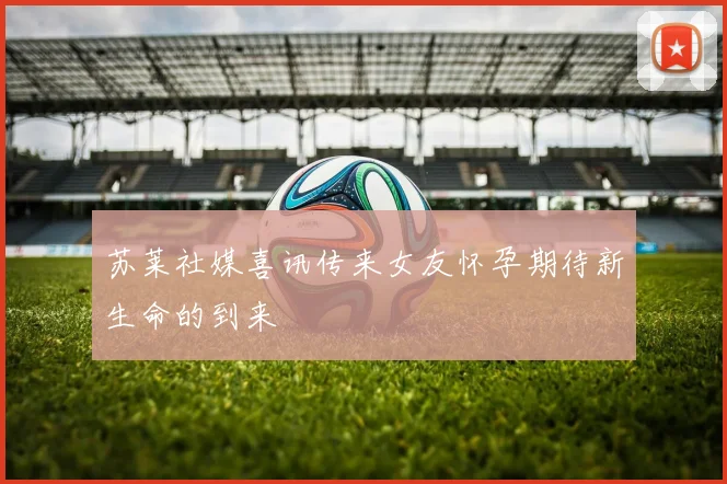 苏莱社媒喜讯传来女友怀孕期待新生命的到来