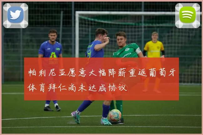 帕利尼亚愿意大幅降薪重返葡萄牙体育拜仁尚未达成协议